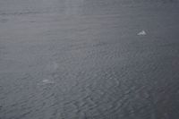 
DSC00284